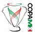 Copa MX
