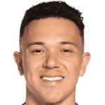 player-logo