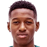 player-logo