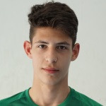 player-logo