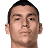 player-logo