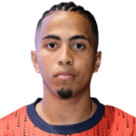 player-logo