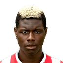 player-logo