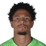 player-logo
