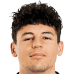 player-logo