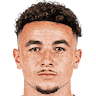 player-logo