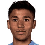 player-logo
