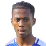 player-logo