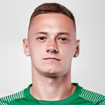 player-logo
