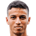 player-logo