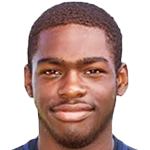 player-logo