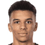 player-logo