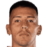player-logo