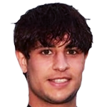 player-logo