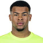 player-logo
