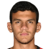 Gabriel Jose Ferreira Mesquita