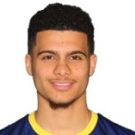 player-logo