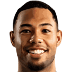 player-logo