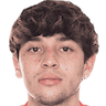 player-logo