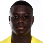 player-logo