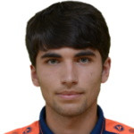 player-logo