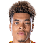 player-logo
