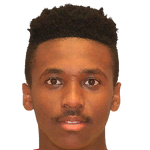 player-logo