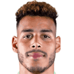 player-logo