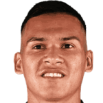 Marcelo Andres Herrera Mansilla