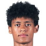 player-logo
