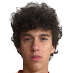 player-logo