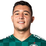 player-logo