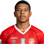 Vinicius Lopes da Silva