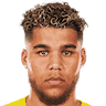 player-logo