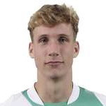 player-logo