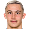 player-logo