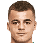 Dragoljub Savic