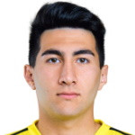 player-logo