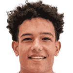 player-logo