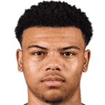 player-logo