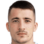 Danilo Mitrovic