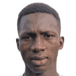 player-logo