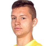 player-logo