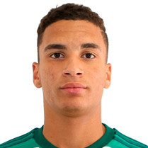 Henri Marinho dos Santos