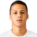 player-logo