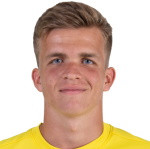 Dominik Snajder
