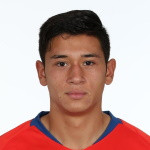 Nicolas Andres Garrido Ceballos