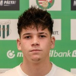 Toth Milan Laszlo