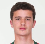Tomas Romano Pereira Santos Handel