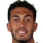 player-logo